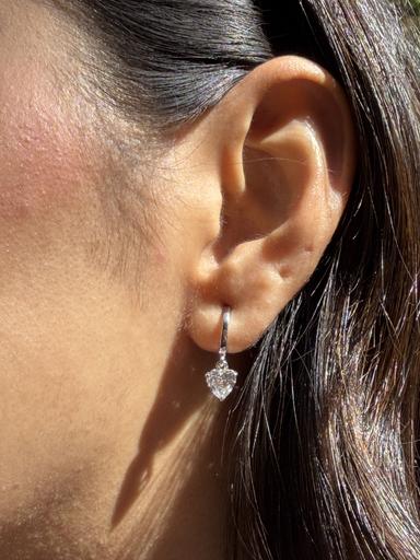 The Floating Hearts - Thumbnail